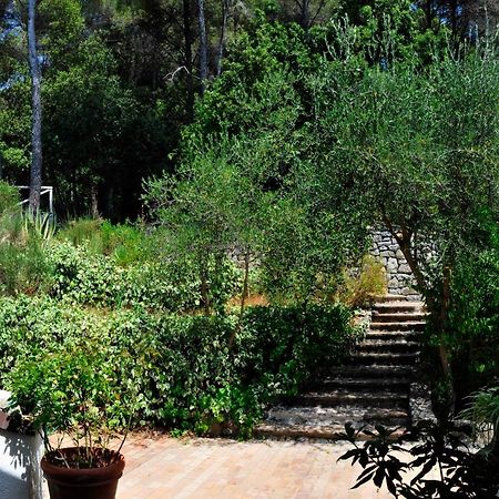 B&B Al Cavalluccio Marino Monte Marcello Dış mekan fotoğraf