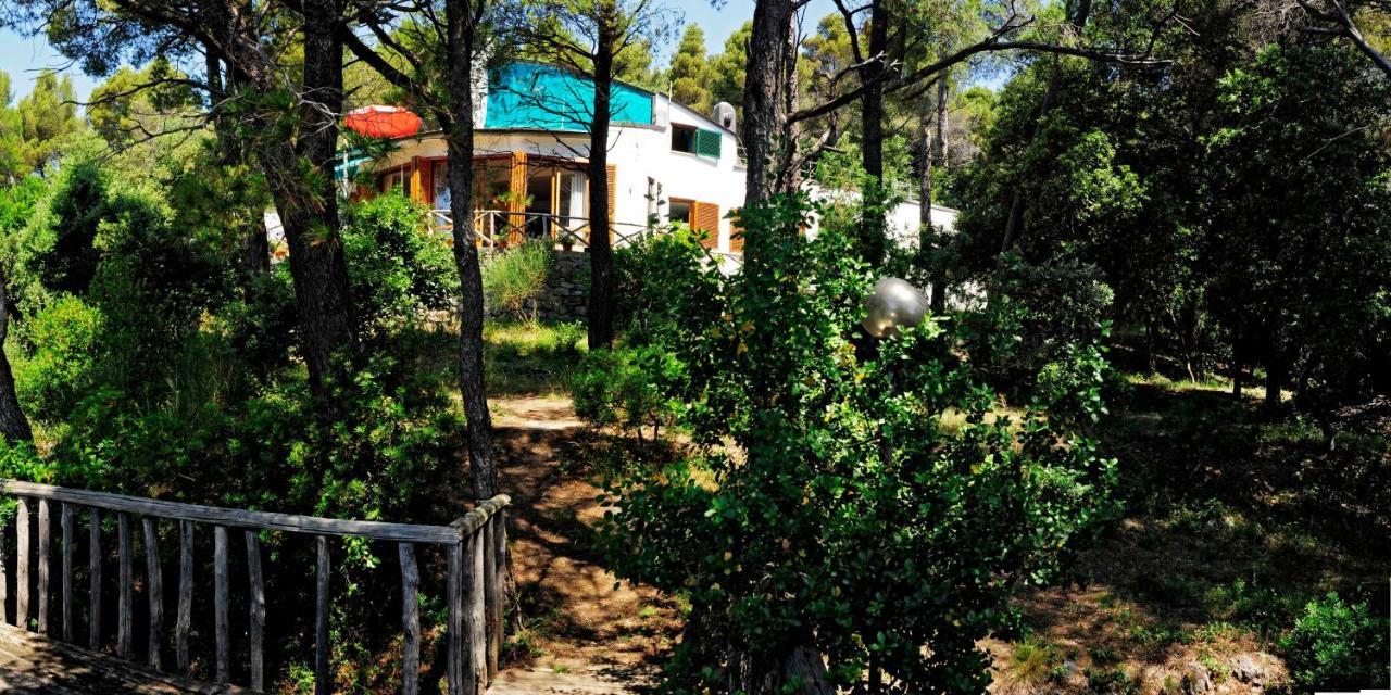 B&B Al Cavalluccio Marino Monte Marcello Dış mekan fotoğraf