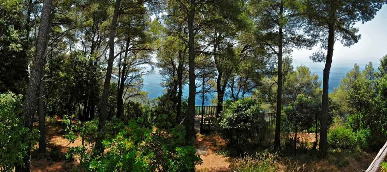 B&B Al Cavalluccio Marino Monte Marcello Dış mekan fotoğraf