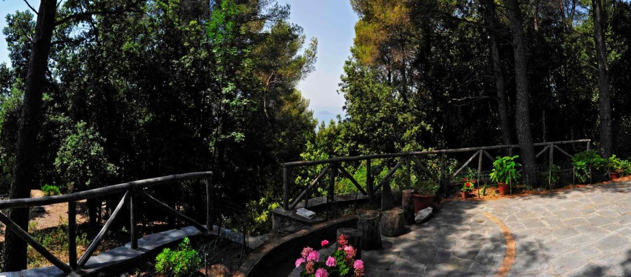B&B Al Cavalluccio Marino Monte Marcello Dış mekan fotoğraf