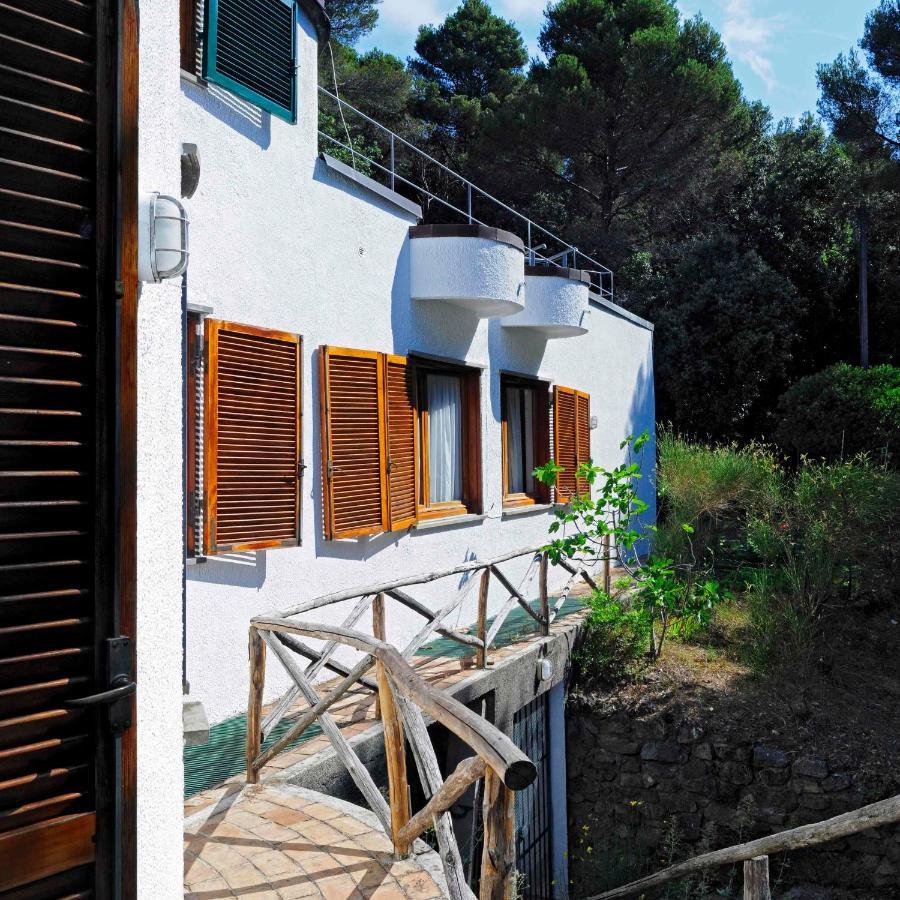 B&B Al Cavalluccio Marino Monte Marcello Dış mekan fotoğraf