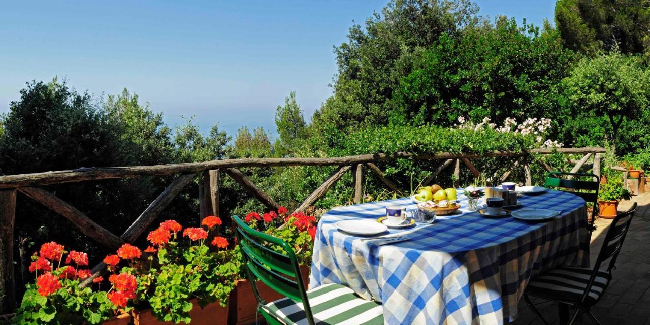 B&B Al Cavalluccio Marino Monte Marcello Dış mekan fotoğraf