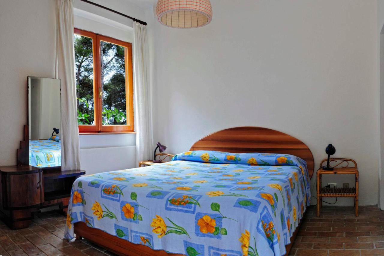 B&B Al Cavalluccio Marino Monte Marcello Dış mekan fotoğraf