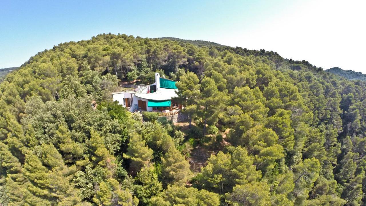 B&B Al Cavalluccio Marino Monte Marcello Dış mekan fotoğraf