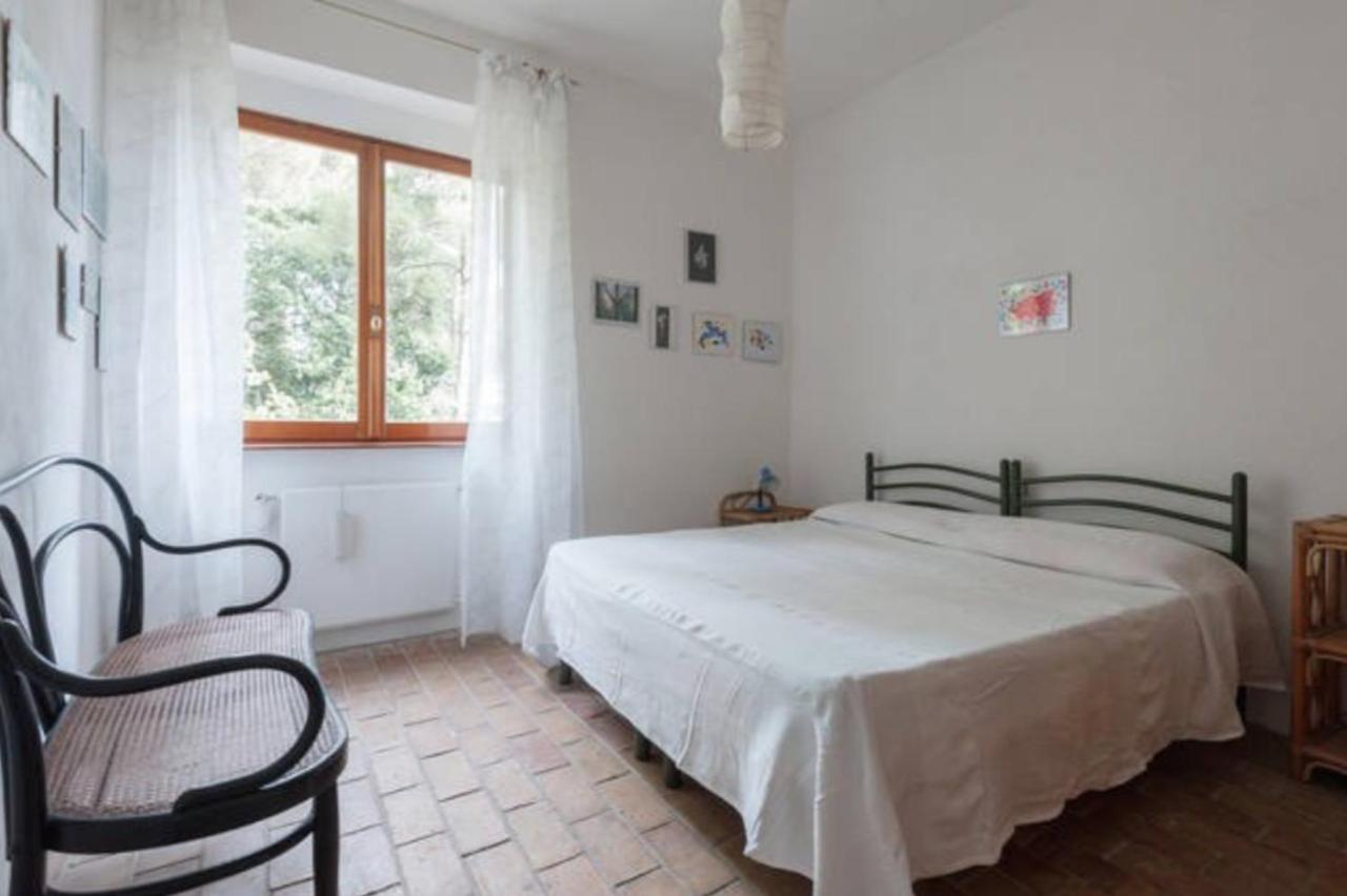 B&B Al Cavalluccio Marino Monte Marcello Dış mekan fotoğraf
